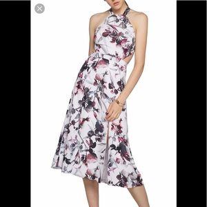 FAME and PARTNERS BNWT Dress 0-2